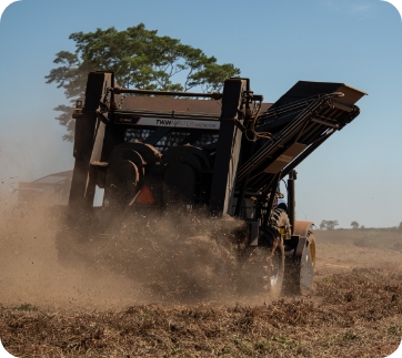 Processo e qualidade