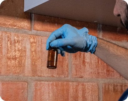 Processo e qualidade