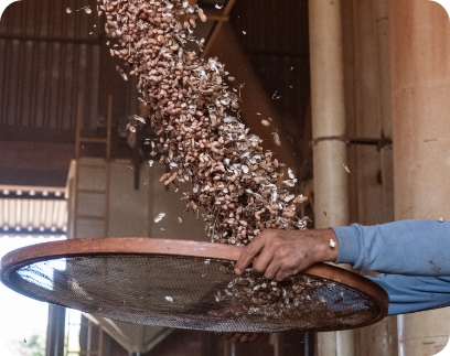 Processo e qualidade