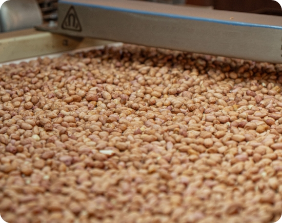 Sobre a AmendoBrasil